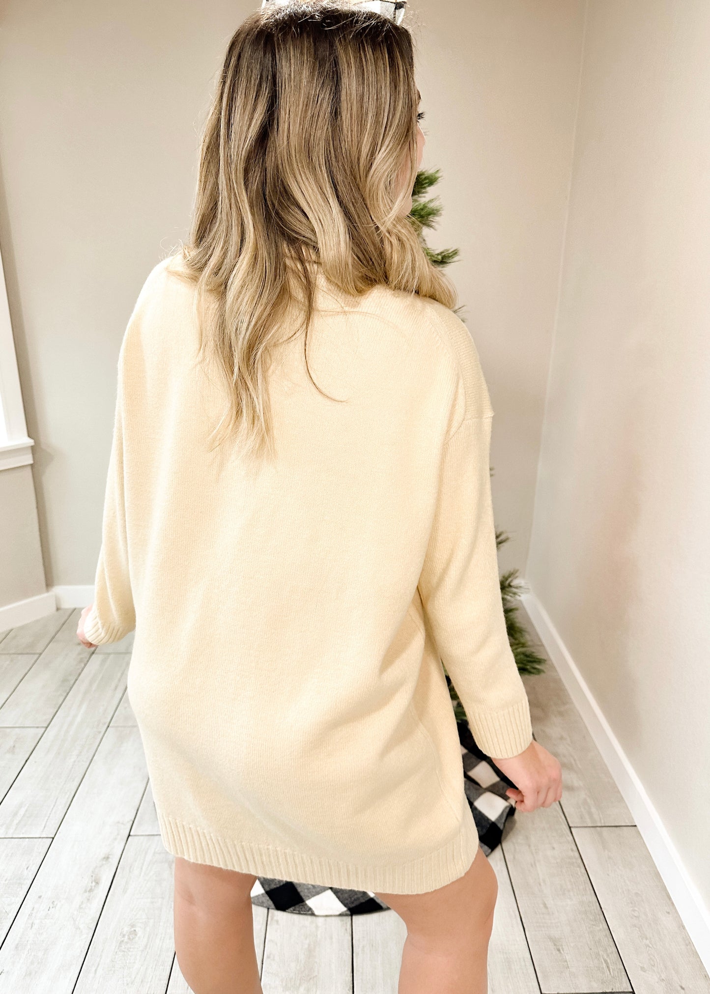 Oatmeal Turtleneck Long Sleeve Sweater Dress
